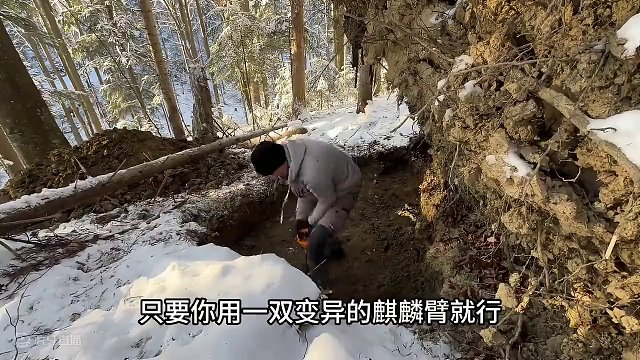 一口气看完，完整版地下庇护所建造。#野外建造 #野外生存 #户外露营