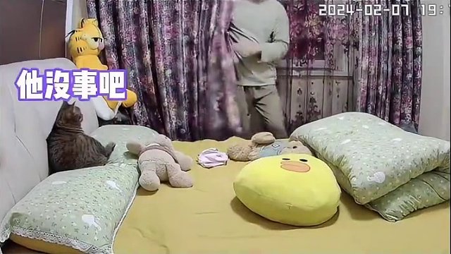 看之前：再怎么样也不能挠人啊，看之后：怎么没挠死你呢#娱乐评论大赏 #搞笑 #萌宠