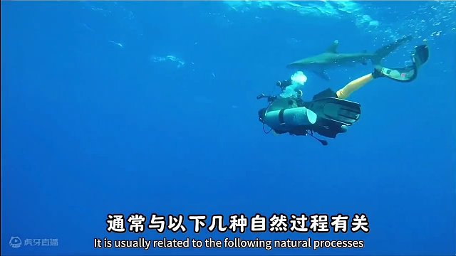 《自然观察》海底洞穴的形成 #海洋 #深海 #潜水 #海洋生物