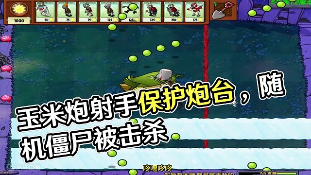 玉米炮射手来袭！ #单机游戏 #植物大战僵尸 #随机僵尸