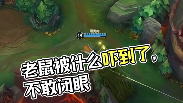 老鼠：发生了什么让我死不瞑目