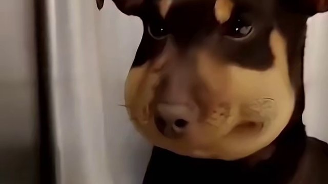 今天上线领了百变袖珍罐，应该不少人都是这个流程吧？一看一个不吱声，亏损最大化。。。#dnf #dnf