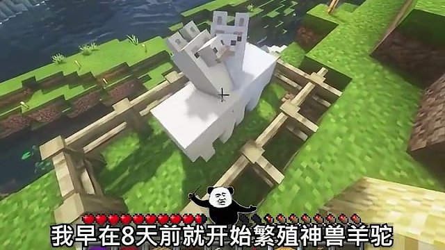 哈哈！我急啦！
#我的世界 #新年快乐 #整活