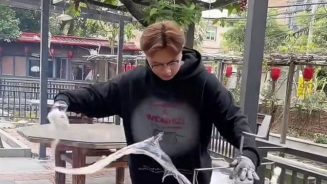 点一只烤全羊送家里是什么样的体验#真材实料才能做出好味道 #同城美食 #团建 #烧烤 #烤全羊