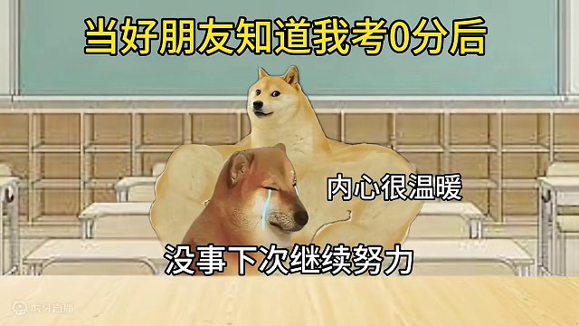 当我期末考试考0分后#意想不到的结局 #每日一笑 #cheems小剧场