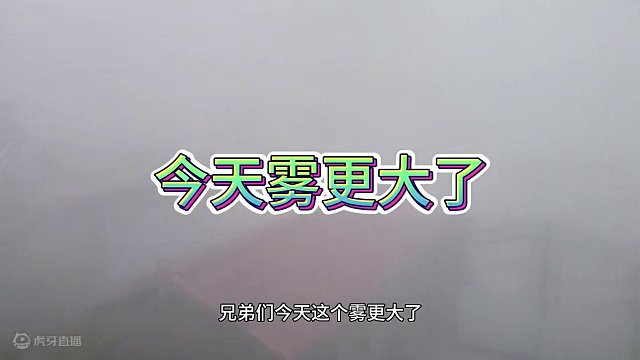 今天雾更大了#梦幻西游 #梦幻西游电脑版 #梦幻西柚 #梦幻西游创梦计划