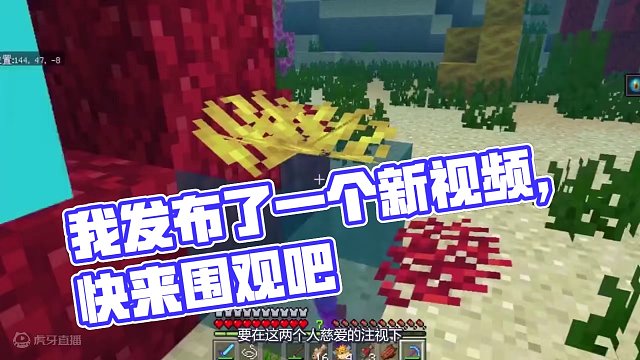 我发布了一个新视频，快来围观吧！