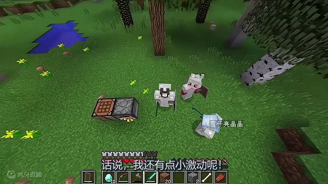 我发布了一个新视频，快来围观吧！