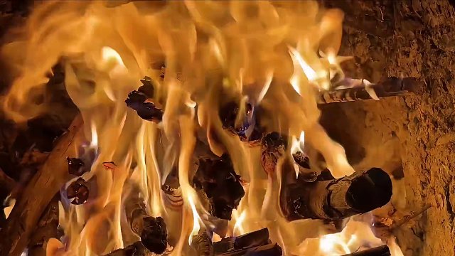 没想到一棵倒塌的大树，也能被改造成完美的庇护所#荒野建造 #野外露营 #解压 #助眠
