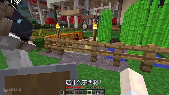 我发布了一个新视频，快来围观吧！