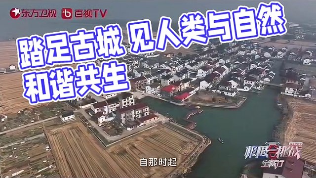 踏足古城 见人类与自然和谐共生
步入金泽 看烟火与浪漫完美融合
《极限挑战宝藏行·和美乡村季》
今晚