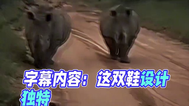 @毒的鞋～专属于你的鞋柜！！！ “来自犀牛的压迫感”#犀牛 #压迫感