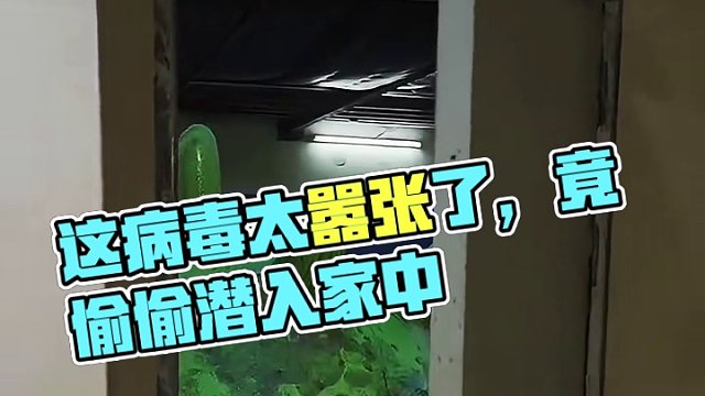 这个病毒太嚣张了，竟然偷偷潜入家中！#搞笑视频 #搞笑配音 #搞笑 #专治不开心