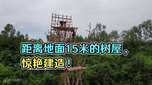 距离地面十五米的树屋，来看看长什么样！#荒野建造#原始技术 #木屋建造 #野外露营
