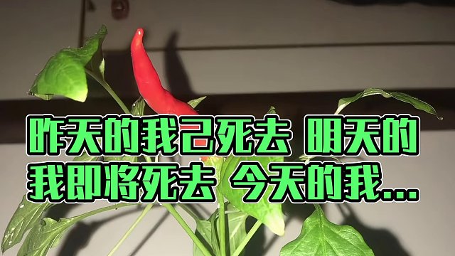 昨天的我己死去 明天的我即将死去 今天的我 永恒存在