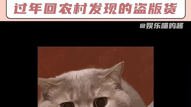 #搞笑  打假博主即刻上线！#打假 #过年 #农村