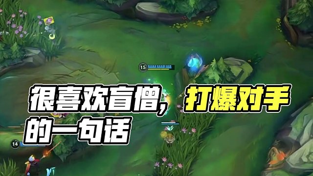 很喜欢盲僧的一句话