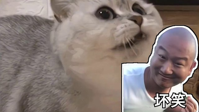 6863606762013052168_僵尸们派了炸弹僵尸来抓老墨？还好有黑市商人，不然就完蛋了！