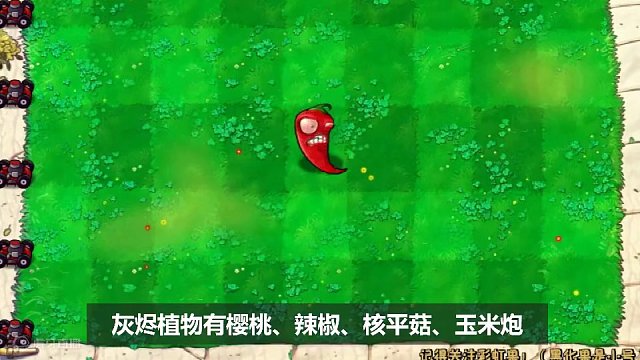 关于灰烬植物的热知识！全部知道随便白嫖！ #怀旧游戏 #经典游戏 #豌豆射手 #游戏解说 #pvz搞