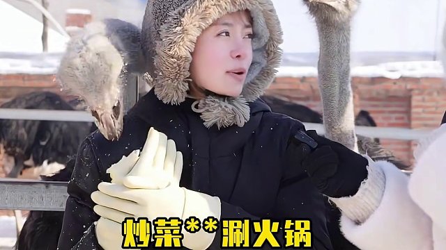 第一次采访得那么刺激 鸵鸟到底能不能玩原神？#三农 #街头采访 #鸵鸟 #整活 #原神