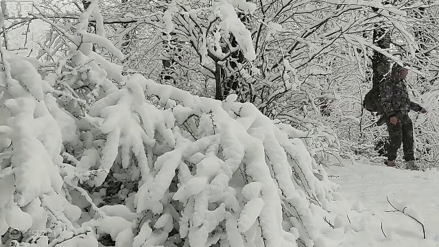 谁能拒绝在睡前看上一集超解压的沉浸式 #雪天露营  呢？
