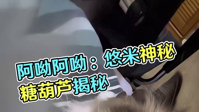 #阿呦阿呦 悠米：莫挨劳资！