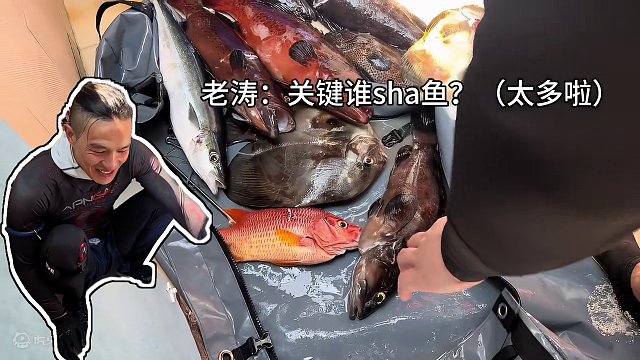 马尔代夫自由潜第7集:打这么多你们是要把厨师逼疯吗#米诺可潜水 #马尔代夫 #自由潜水 #潜水抓鱼 