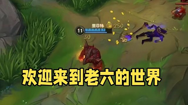 欢迎来到老六的世界