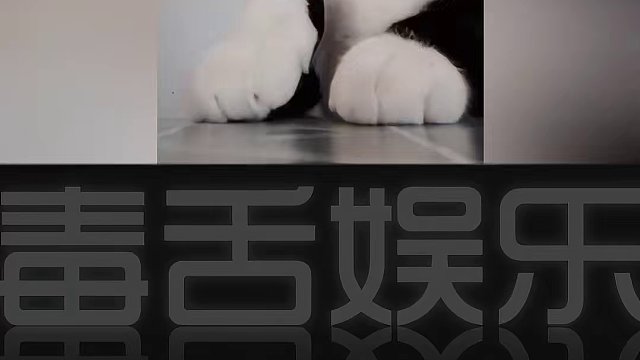 奶牛遇到了更神经的主人系列，眼神已经说明了一切