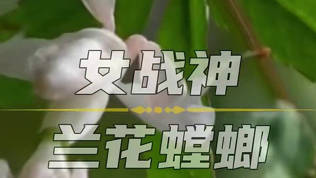 上线玩了5分钟，沉迷2小时，根本停不下来！