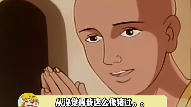 完蛋……真成猪了…:不要偷拍我了可以吗
