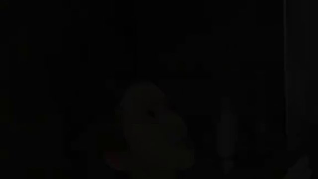 “没见过舔狗，帮忙艾特一个”