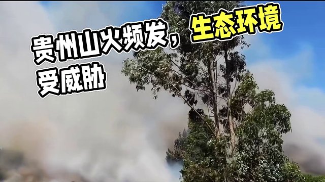 贵州地区进期蘋发山火