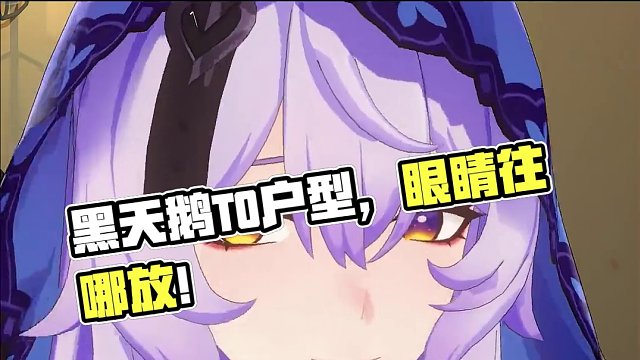 黑天鹅版本T0户型的含金量 眼睛不知道往哪放! #崩坏星穹铁道 #假如在午夜入梦 #黑天鹅