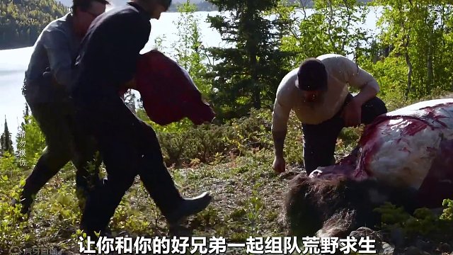 12人北极荒野求生，大佬开局捕获9条野鳟鱼，父子组合意外频发 #荒野求生 #野外生存 #户外