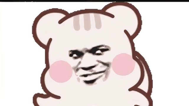 猫猫：有人欺负我，快来！