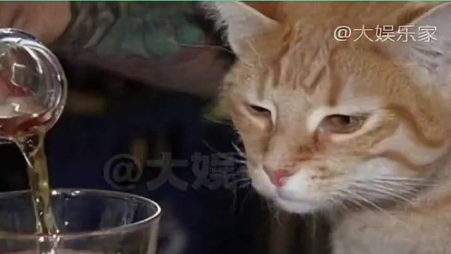 老师我们追星女的确是这样的……#韩国 #追星 #旅行