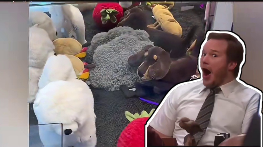 我丢！这可是jellycat啊啊啊！好想去抓！