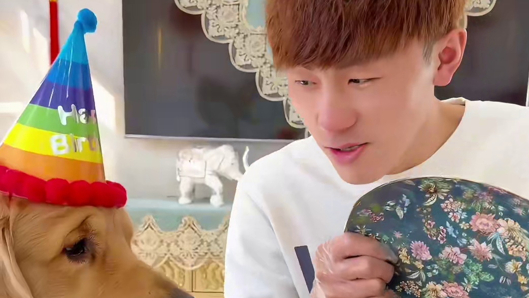 可爱帅气懂事的四宝喜提3岁，愿你健健康康平平安安快快乐乐，做一个能吃能睡的幸福小狗！#新春玩乐指南 