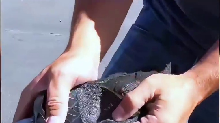 为什么劳斯莱斯的一个轮胎敢要价8万呢？