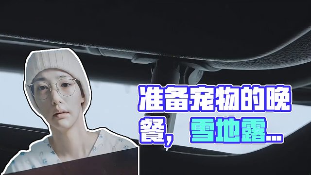 雪地露营：宠物篇（贰）
准备好吃的，和狗子共进晚餐~
#露营 #萌宠 #助眠 #雪地露营 #上热门