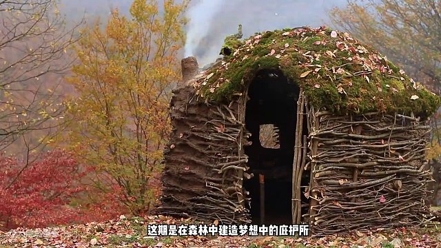 我发布了一个新视频，快来围观吧！