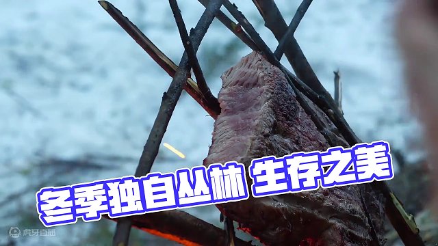 冬季独自丛林生存 一把刀、200克肉和一个小罐头，简单几件物品独自在丛林生存几日#野外生存 #野外露