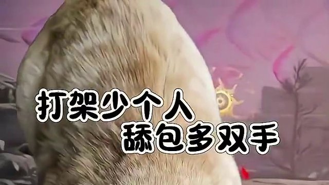 舔包哥#NBPL #2024NBPL春季赛#游戏搭子