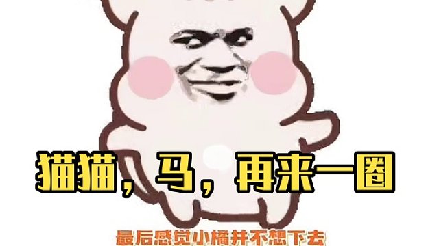 猫猫：我能再来一圈吗？马：再见了您嘞