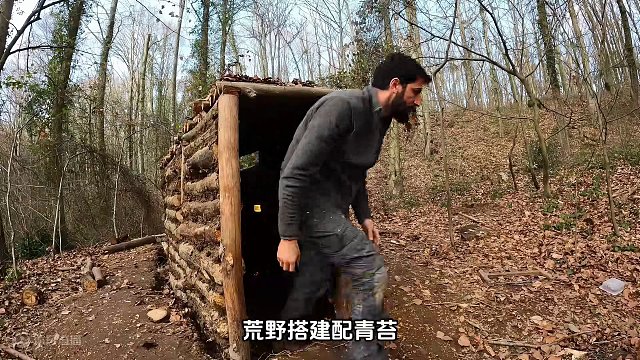 在深林中搭建童话般的小木屋，这是不是你儿时的梦想？ #野外建造 #野外生存 #解压