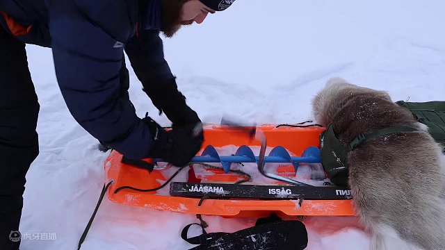 第4集 | 建造一个冰屋 中途遇到狼群 这次冒险，切割冰块花费大量时间和精力。第一天还遇到了一群狼，