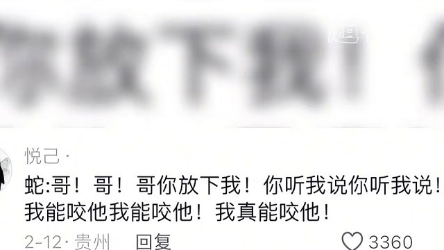 蛇：没有人为我发声嘛！#蛇 #万万没想到 #娱乐超有料