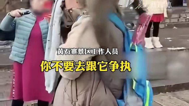 2月29日发布 湖南张家界 #景区回应猴子在游客头上翻包找食物 被翻包的阿姨面带苦笑，一动不动。景区