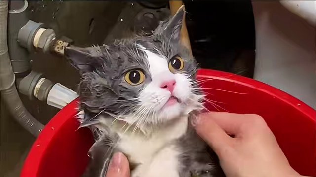 这得给我家逆子好好看看！